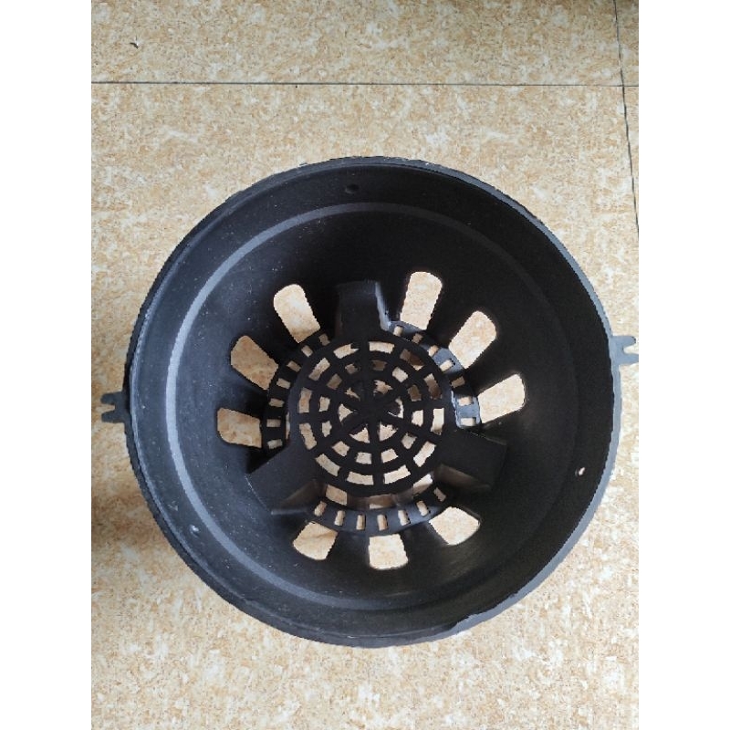 Combo 10 chậu lan đen phi 21