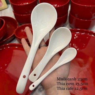 Thìa sứ cà phê, cơm, muôi canh trắng