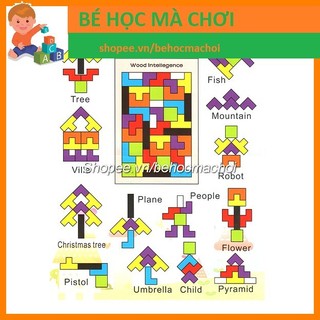 Wood Intellegence - Phát triển tư duy logic Xếp gạch và TRÍ UẨN tangram 40 chi tiết