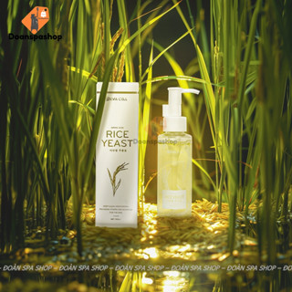 Sữa rửa mặt devacell - Sữa rửa mặt gạo non AMINO ACID Deva cell