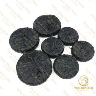 Giá Thể Trồng Cây Thủy Sinh - Giá Thể Dinh Dưỡng