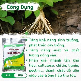 Nấm Trichoderma Điền trang, Men Vi Sinh Ủ Phân hữu cơ Sfarm, Xử Lý Đất trồng, Phòng Ngừa nấm Bệnh Vuonbabylon - Gói 1Kg