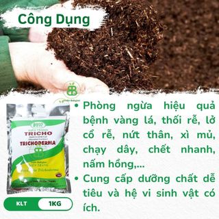 Nấm Trichoderma Điền trang, Men Vi Sinh Ủ Phân hữu cơ Sfarm, Xử Lý Đất trồng, Phòng Ngừa nấm Bệnh Vuonbabylon - Gói 1Kg