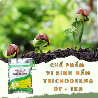 Nấm Trichoderma Điền trang, Men Vi Sinh Ủ Phân hữu cơ Sfarm, Xử Lý Đất trồng, Phòng Ngừa nấm Bệnh Vuonbabylon - Gói 1Kg