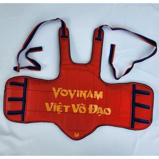 Giáp Vovinam 2 Mặt