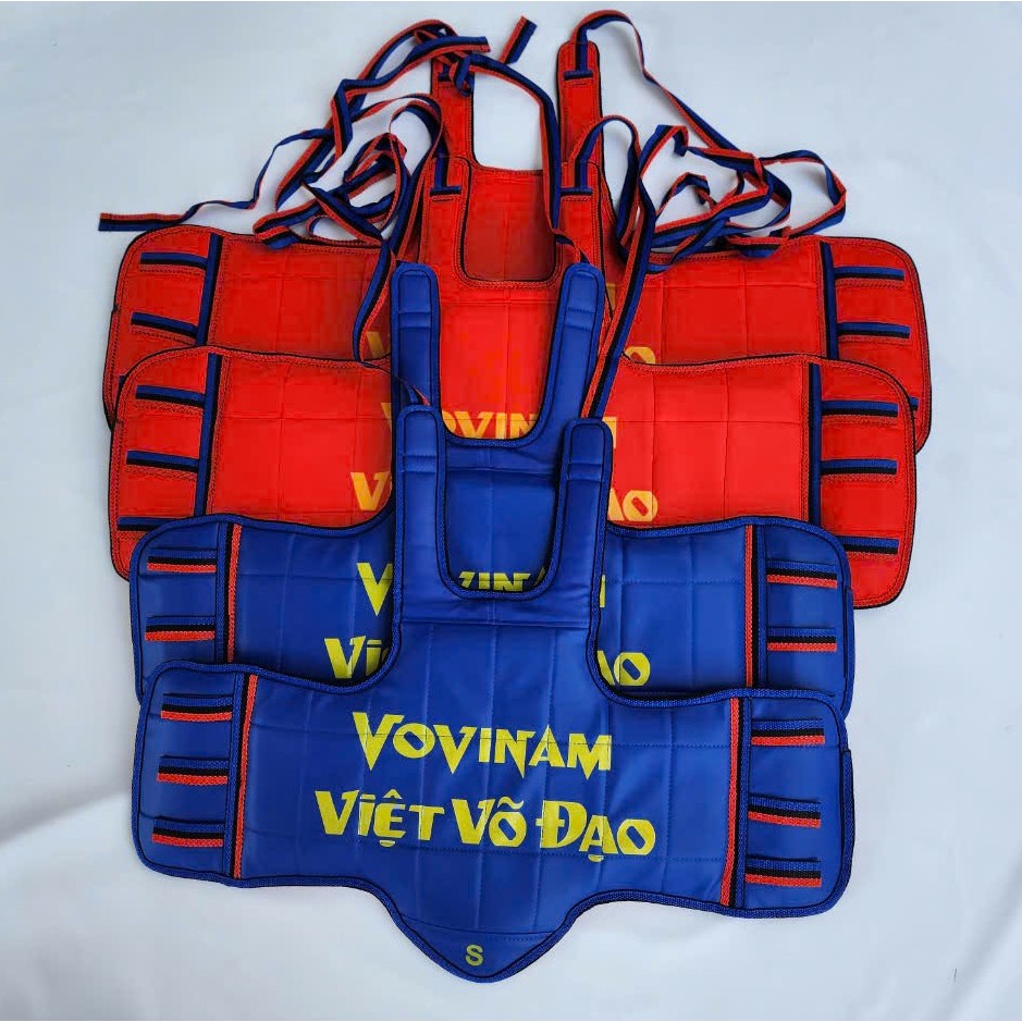 Giáp Vovinam 2 Mặt