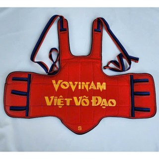 Giáp Vovinam 2 Mặt