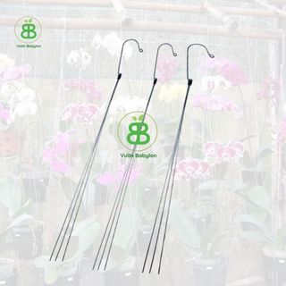 Móc Treo Chậu Cây Vuonbabylon, Treo chậu Lan, cây kiểng Thiết Kế Tối Giản, Thẩm Mỹ, Dễ Sử Dụng có 2 size 60cm và 70cm
