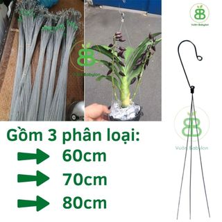 Móc Treo Chậu Cây Vuonbabylon, Treo chậu Lan, cây kiểng Thiết Kế Tối Giản, Thẩm Mỹ, Dễ Sử Dụng có 2 size 60cm và 70cm