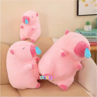Gấu bông chuột lang nước Capybara rút mũi chậm