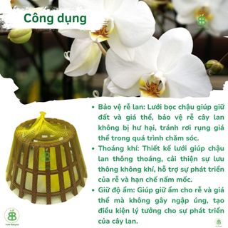 Lưới Bọc Chậu Lan , Size Lớn 50CM, Lót Đáy Chậu, Ngăn Rơi Vỡ Giá Thể, Phân Bón - 1 Cái