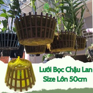Lưới Bọc Chậu Lan , Size Lớn 50CM, Lót Đáy Chậu, Ngăn Rơi Vỡ Giá Thể, Phân Bón - 1 Cái