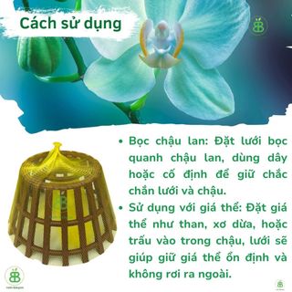 Lưới Bọc Chậu Lan , Size Lớn 50CM, Lót Đáy Chậu, Ngăn Rơi Vỡ Giá Thể, Phân Bón - 1 Cái