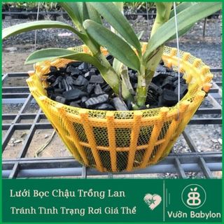 Lưới Bọc Chậu Lan , Size Lớn 50CM, Lót Đáy Chậu, Ngăn Rơi Vỡ Giá Thể, Phân Bón - 1 Cái