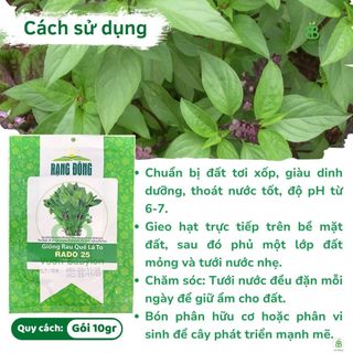 Hạt Giống Rau Quế Lá To Rạng Đông, Thơm Ngon, Nảy mầm Tốt, Dễ Trồng Vuonbabylon - Gói 10G