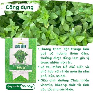 Hạt Giống Rau Quế Lá To Rạng Đông, Thơm Ngon, Nảy mầm Tốt, Dễ Trồng Vuonbabylon - Gói 10G