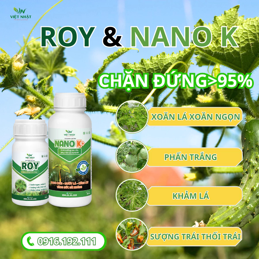 COMBO ĐẶC TRỊ XOĂN NGỌN - KHẢM LÁ - GIÚP CÂY TRỒNG ĐÂM CHỒI VƯỢT TƯỢC ROY+NANO K