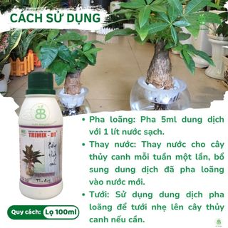 Dung Dịch Thủy Canh Kiểng , Tăng Cường Dinh Dưỡng Cho Cây - Chai 100ML