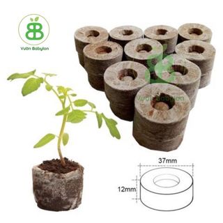 Viên Nén Xơ Dừa Ươm Cây , Phù Hợp Ươm Hạt Giống, Ngó Dâu Tây, Trồng Rau Thủy Canh - Set 5/10 Viên
