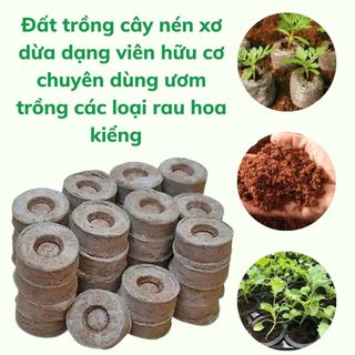 Viên Nén Xơ Dừa Ươm Cây , Phù Hợp Ươm Hạt Giống, Ngó Dâu Tây, Trồng Rau Thủy Canh - Set 5/10 Viên