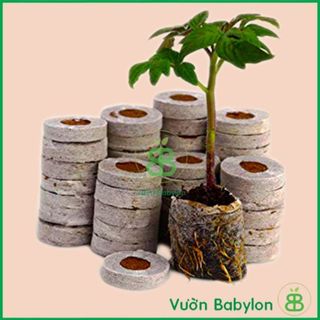 Viên Nén Xơ Dừa Ươm Cây , Phù Hợp Ươm Hạt Giống, Ngó Dâu Tây, Trồng Rau Thủy Canh - Set 5/10 Viên