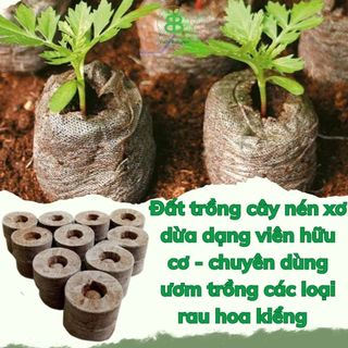 Viên Nén Xơ Dừa Ươm Cây , Phù Hợp Ươm Hạt Giống, Ngó Dâu Tây, Trồng Rau Thủy Canh - Set 5/10 Viên
