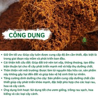 Viên Nén Xơ Dừa Ươm Cây , Phù Hợp Ươm Hạt Giống, Ngó Dâu Tây, Trồng Rau Thủy Canh - Set 5/10 Viên