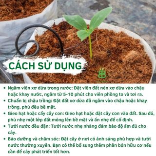 Viên Nén Xơ Dừa Ươm Cây , Phù Hợp Ươm Hạt Giống, Ngó Dâu Tây, Trồng Rau Thủy Canh - Set 5/10 Viên