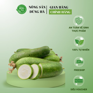 Bí Đao Địa Phương/Bí xanh - Hàng tươi ngon, nhập về mỗi ngày - Ship hoả tốc
