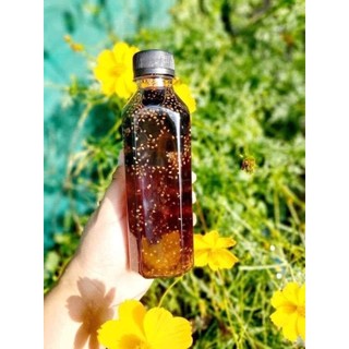 ✅ 𝐒𝐚̂𝐦 𝐁𝐢́ Đ𝐚𝐨 🍃 𝟐50gr 🍃 𝐒𝐞𝐭 𝐍𝐚̂́𝐮 𝐒𝐚̂𝐦 𝐁𝐢́ Đ𝐚𝐨 𝟏6 𝐕𝐢̣ 𝐆𝐨́𝐢 ☘️𝐅𝐑𝐄𝐄𝐒𝐇𝐈𝐏 🍀