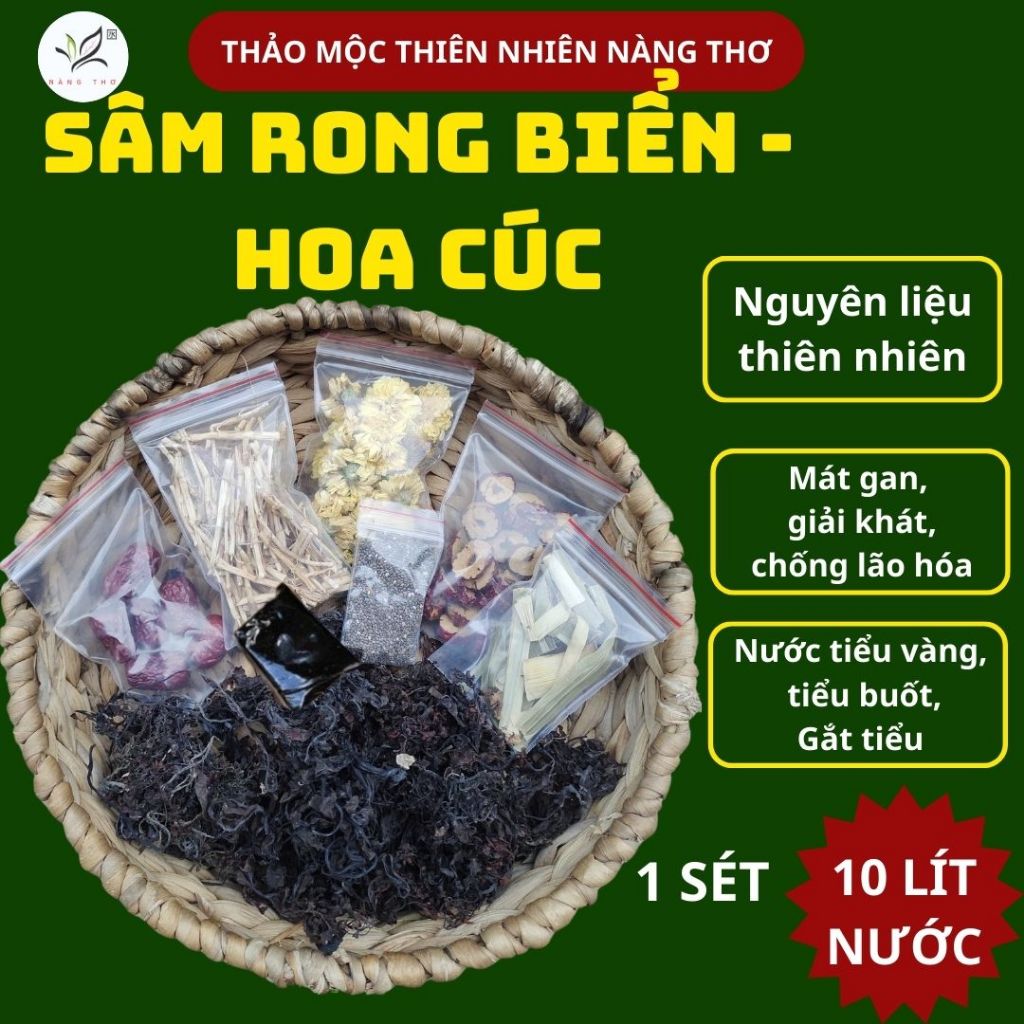 𝐒𝐞́𝐭 𝐒𝐚̂𝐦 𝐑𝐨𝐧𝐠 𝐁𝐢𝐞̂̉𝐧 - 𝐇𝐨𝐚 𝐂𝐮́𝐜 𝐇𝐚̣𝐭 𝐂𝐡𝐢𝐚  𝐇𝐨𝐚 𝐂𝐮́𝐜 𝐇𝐚̣𝐭 𝐂𝐡𝐢𝐚 𝐔́𝐜 - Thanh Lọc