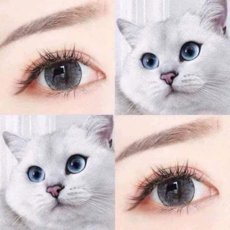 Lens xám long lanh shimmer gray giãn to baby vân đá cuốn hút