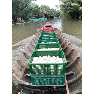 10 Quả Trứng Vịt to thả đồng bao t.ư.ơ.i mới luộc chiên ăn đều đc