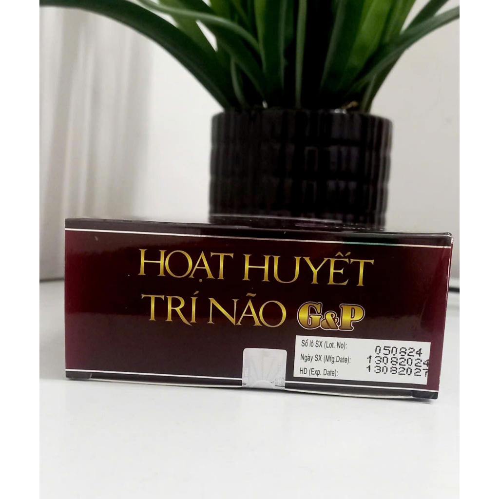 Viên uống hoạt huyết trí não G&P - Giúp hoạt huyết , tăng cường lưu thông máu lên não , phục hồi trí nhớ sau tai biến .