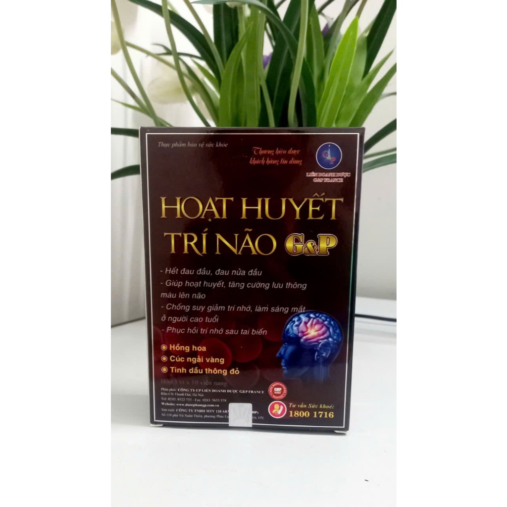 Viên uống hoạt huyết trí não G&P - Giúp hoạt huyết , tăng cường lưu thông máu lên não , phục hồi trí nhớ sau tai biến .