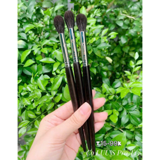  Cọ mắt má hồng LUU'S PRO T15 