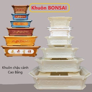 Khuôn đúc chậu cảnh BonSai - khuôn ABS có lòng trong đầy đủ