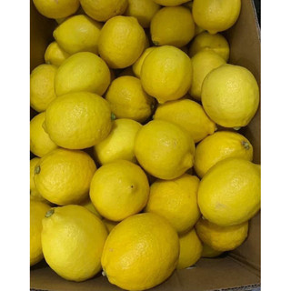 Chanh Vàng Mỹ 2kg thơm chuẩn xịn