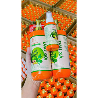 combo dầu gội +xả ngải cứu bưởi gừng Hamyyskin