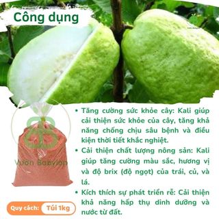 Phân Bón Siêu KaLi  Giúp Cứng Cây, Nuôi Hoa, Dưỡng Trái, Tăng Năng Suất Cây Trồng - Túi 1KG