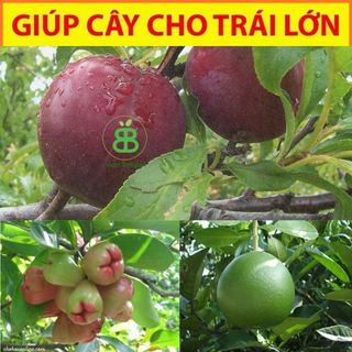 Phân Bón Siêu KaLi  Giúp Cứng Cây, Nuôi Hoa, Dưỡng Trái, Tăng Năng Suất Cây Trồng - Túi 1KG