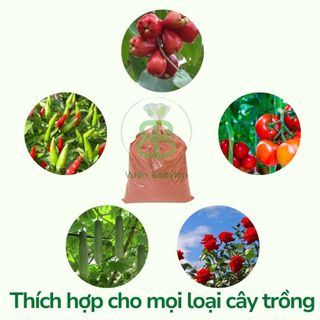 Phân Bón Siêu KaLi  Giúp Cứng Cây, Nuôi Hoa, Dưỡng Trái, Tăng Năng Suất Cây Trồng - Túi 1KG