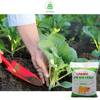 Phân Bò Lavamix Đã Qua Xử Lý, Phân Bò Hữu Cơ, Bón Lót Rau Củ, Cải Thiện Đất Trồng  - Túi 3dm3