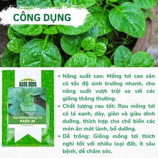 Hạt Giống Mồng Tơi Cao Sản , Đặc Sản, Năng Suất Cao Rạng Đông - Túi 20G