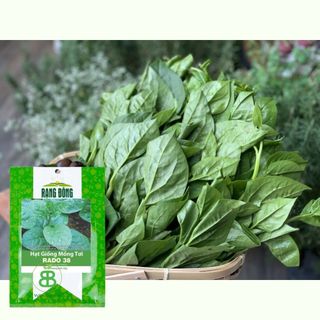 Hạt Giống Mồng Tơi Cao Sản , Đặc Sản, Năng Suất Cao Rạng Đông - Túi 20G