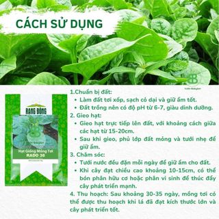Hạt Giống Mồng Tơi Cao Sản , Đặc Sản, Năng Suất Cao Rạng Đông - Túi 20G