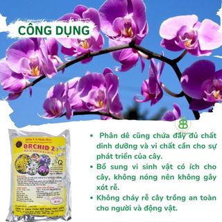 Phân Hữu Cơ Orchid Túi Lưới VUONBABYLON, Chuyên Dùng Cho Lan, Giàu Dinh Dưỡng Hữu Cơ - 1 túi lẻ