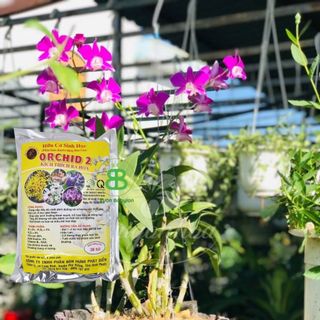 Phân Hữu Cơ Orchid Túi Lưới VUONBABYLON, Chuyên Dùng Cho Lan, Giàu Dinh Dưỡng Hữu Cơ - 1 túi lẻ