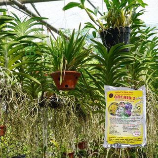 Phân Hữu Cơ Orchid Túi Lưới VUONBABYLON, Chuyên Dùng Cho Lan, Giàu Dinh Dưỡng Hữu Cơ - 1 túi lẻ