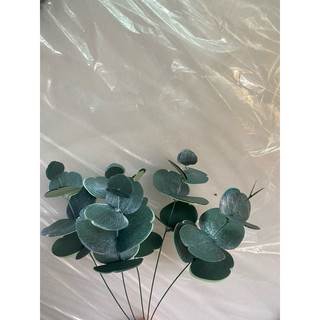 lá táo lá khuynh diệp (giấy)